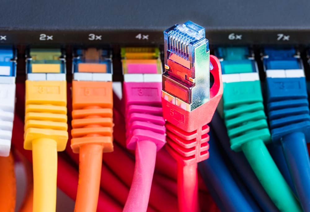 Cables Patch Cord y Conectividad de Red